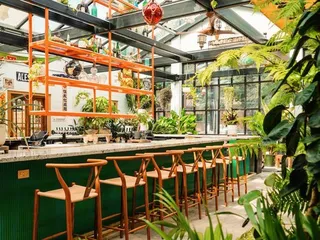Somerset Bar