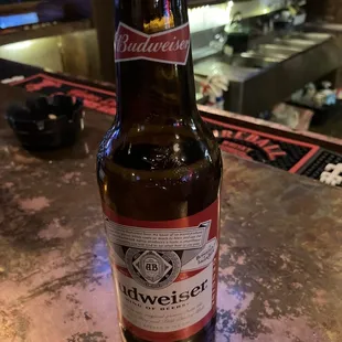 a bottle of budweiser beer