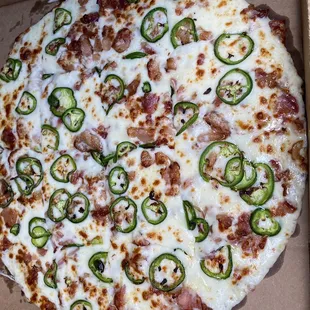 Yummy 14 inch