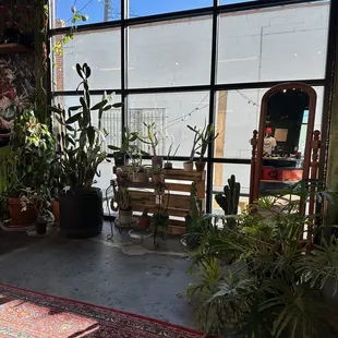 Plant corner