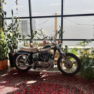 Unique decor
