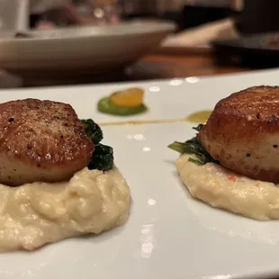 Scallops