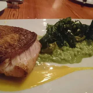 Texas Red Snapper, Shrimp Risotto