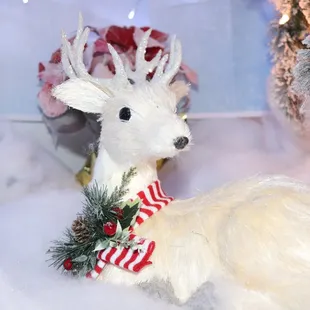 this guy you can find in our snow globe room