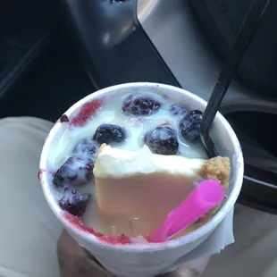 Cheesecake stuffed snowball. I chose wedding cake flavor for the snoball. This was AWESOME! MIC DROPPED..GAME CHANGED!!