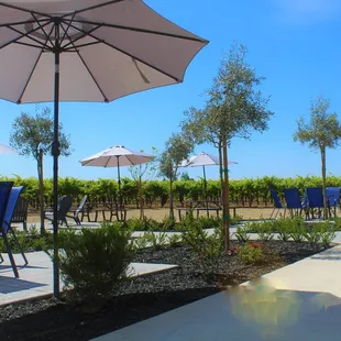 patio area with chairs and umbrellas