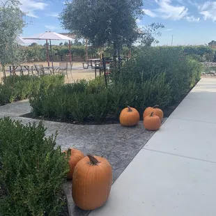 Super nice weather in October!