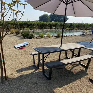 picnic table with umbrella and surfboard