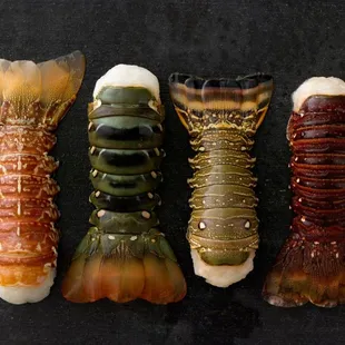 four different types of lobster tails