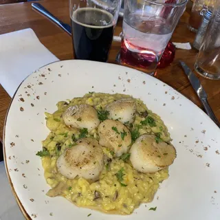Scallops