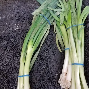 Visit to disgusting produce section at Blocks 4/2017