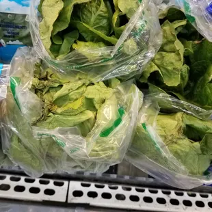 Visit to disgusting produce section at Blocks 4/2017