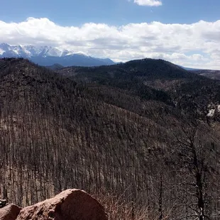 @ the top peak of Blodgett Peak!