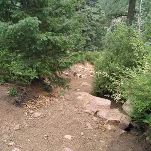 Steeper than it looks, gravely surface is like ball bearings.  Easy to loose one's footing, conducive to butt sliding.