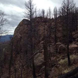 On the way up! Waldo Canyon fire is showing its ugly side at the top. There is no vegetation whatsoever left alive (save for a few grasses).
