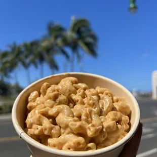 100% Vegan. Featuring Blondies Vegan Brand Cheddar Cheese. Making vegan proteins since 1999.