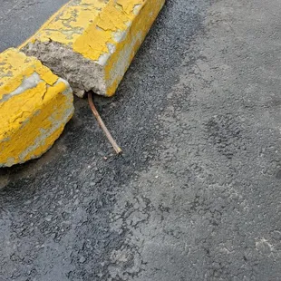 Damn near broke my neck.