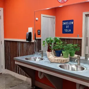 Community Wash Sinks