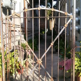 Sights n sounds if ghost tour July 2018