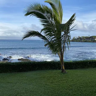 Makena S.