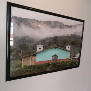 a foggy mountain scene