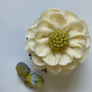 1 single white peony floral cupcake.