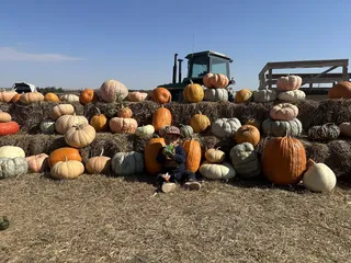 Pearson's Pumpkin Place
