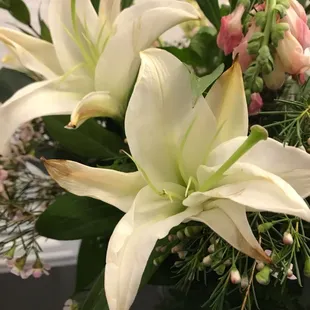 Same Day Delivery Condition of flowers