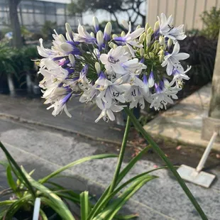 Beautiful selection and very knowledgeable staff. My happy place