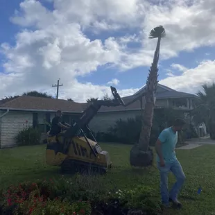 a man cutting a palm tree