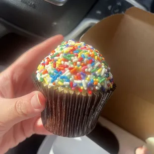Vanilla Rolled Sprinkle Cupcake