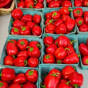 a display of red peppers