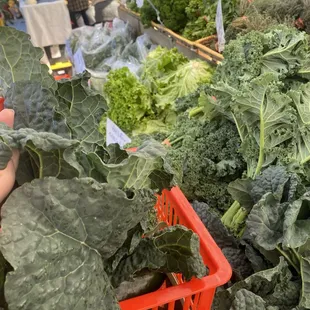 Greens