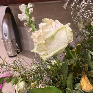 It's almost three three weeks after the wedding and Bloomies  roses are showing a little decline.