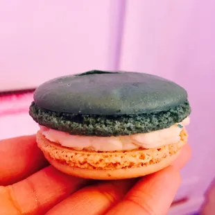 White Chocolate Macaron. 
Literally, the best macaron I've ever had.