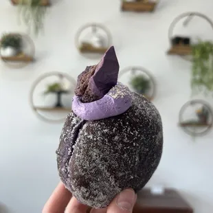  hand holding a chocolate bun