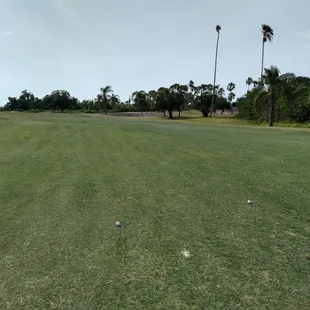 Gotta hit more greens..
