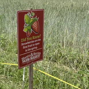 Fun facts on the signs leading back to the strawberry fields