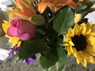 Papillion Flower Patch