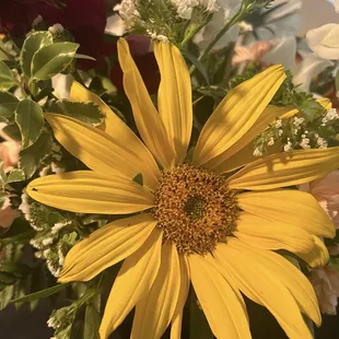 How can a sunflower not make you happy