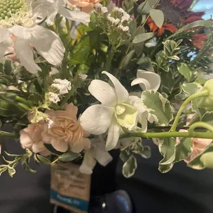 I can't stop looking at my flowers  8/20/24