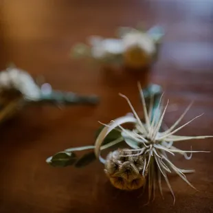 bout love Photo: Blue Rose Studios NM