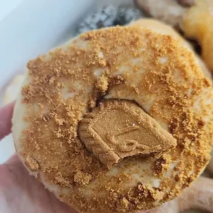 Biscoff