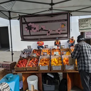 Ferry farmers market Tuesday stand, shelter in place