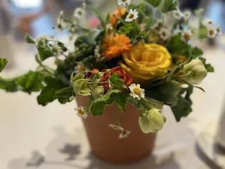 Rose Bredl Flowers and Garden