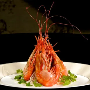 food, sashimi, sushi and sashimi, sushi