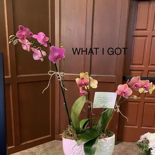 WHAT I GOT