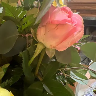 Flowers look old!
