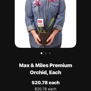 An heb photo with the same picture of the flowers they sent