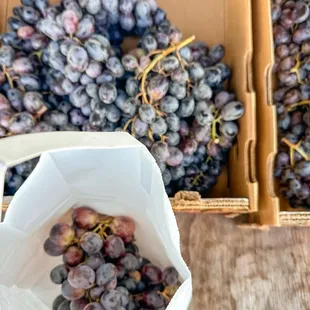 Deliciously plump grapes for charcuterie board.